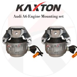 Audi A6 Engine Mount Set