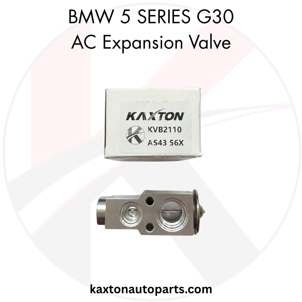 BMW 5 Series G30 AC Expansion Valve